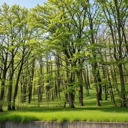 Apartment Family In Hambachtal Boutique *