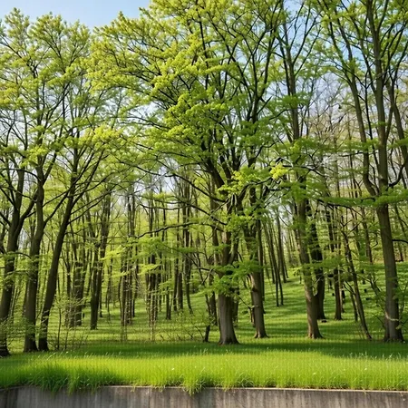Family In Hambachtal Boutique Apartment