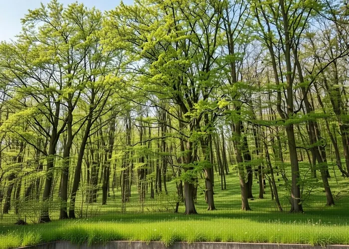 Family In Hambachtal Boutique Oberhambach